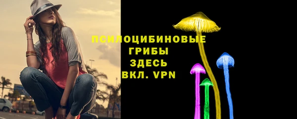 COCAINE Михайлов