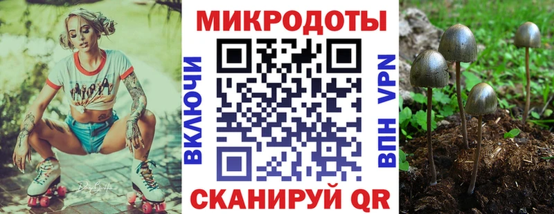 Галлюциногенные грибы Cubensis  Дно 